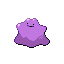 image of ditto
