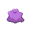 image of ditto