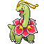 image of meganium