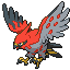 image of talonflame