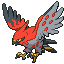 image of talonflame